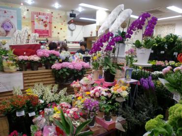 先輩花屋さんからのご依頼で｜「花水木」　（富山県黒部市の花キューピット加盟店 花屋）のブログ