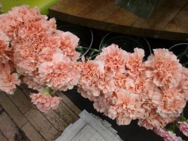 こんにちは はなみずきです 花屋ブログ 富山県黒部市の花屋 花水木にフラワーギフトはお任せください 当店は 安心と信頼の花キューピット加盟店です 花キューピットタウン