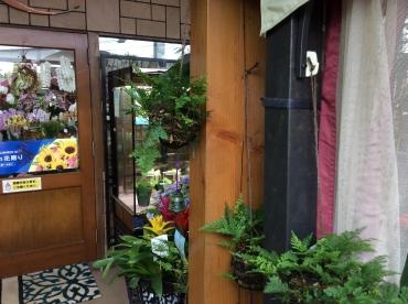 こんばんは！　黒部の花屋さん　花水木です。｜「花水木」　（富山県黒部市の花キューピット加盟店 花屋）のブログ