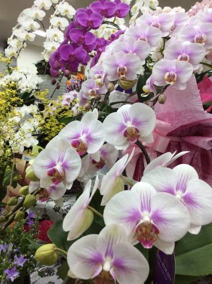 「花水木」　（富山県黒部市）の花屋店舗写真1